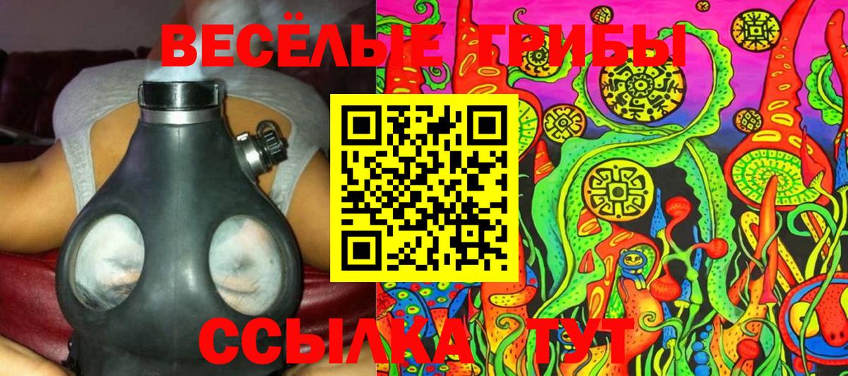 Богданович  Псилоцибиновые грибы Psilocybine cubensis  Вход с VPN 