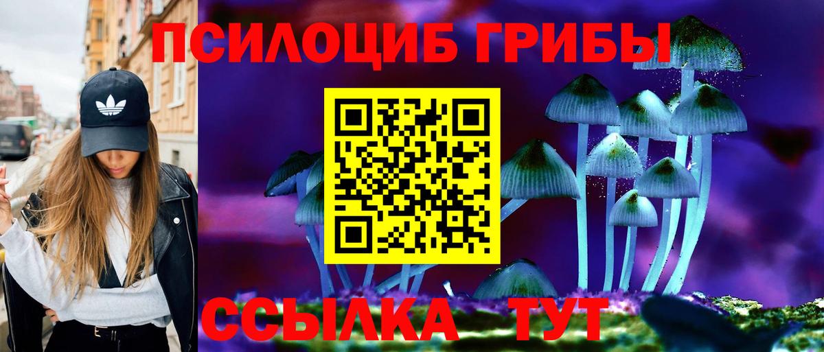 Галлюциногенные грибы Psilocybe Богданович