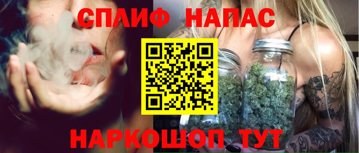 Конопля конопля  Вход с VPN  Богданович  Марихуана THC 21%  Бошки марихуана Amnesia 